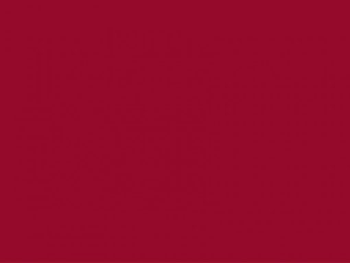 Set de Table AIRLAID Bordeaux (carton de 1'000 / 5 x 200) Fournitures en gros suisse