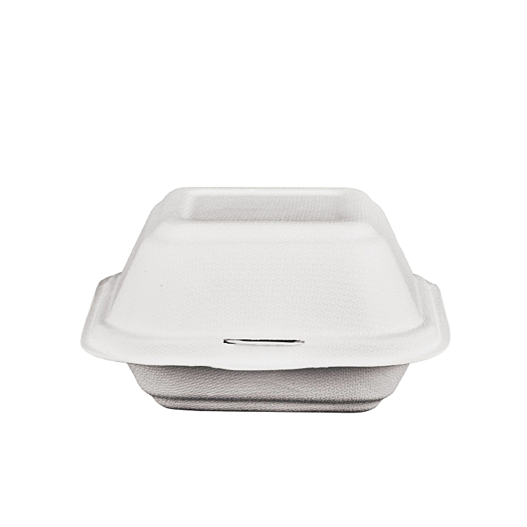 Boîte à hamburger avec couvercle à charnière, fibre de canne à sucre blanche